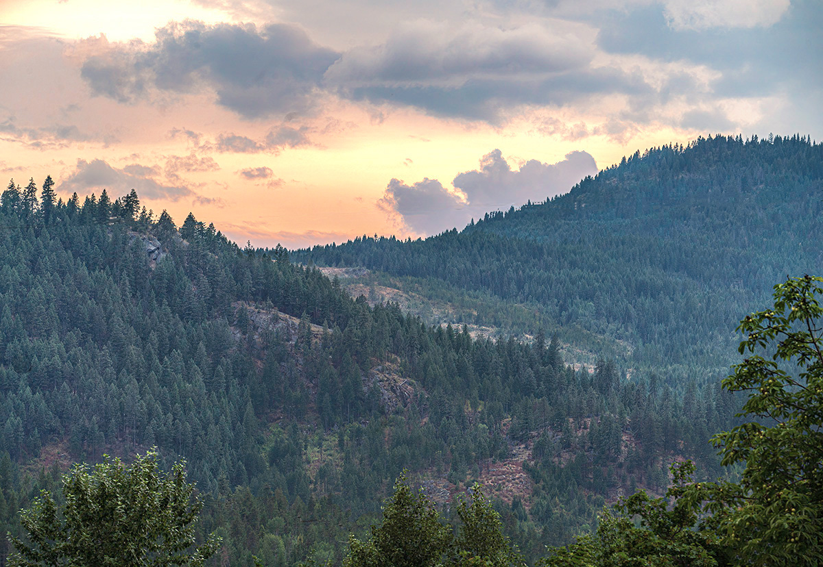 Eastern Washington Hillsides 