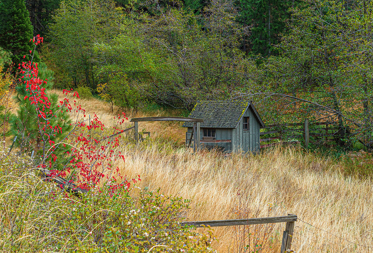 Shack On Willow Springs Road