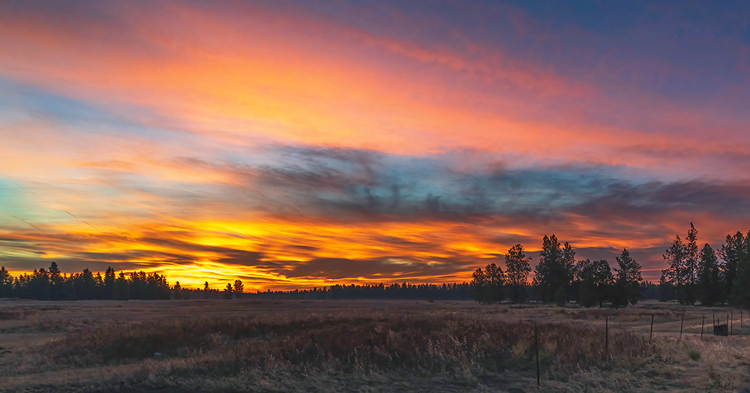 Turnbull Wildlife Refuge Sunrise
