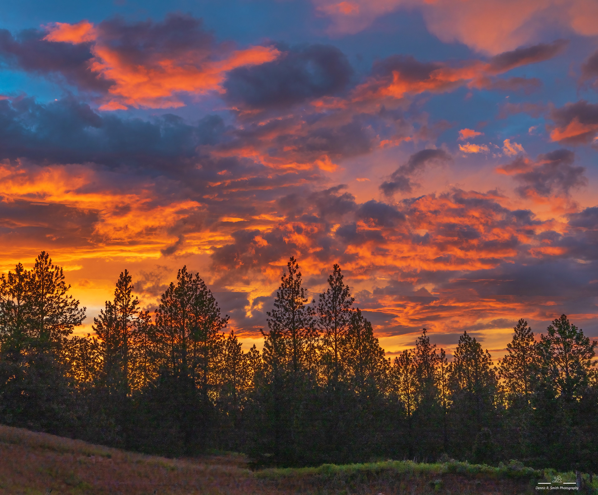 June Sunset