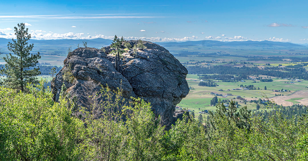 Overlooking the Palouse