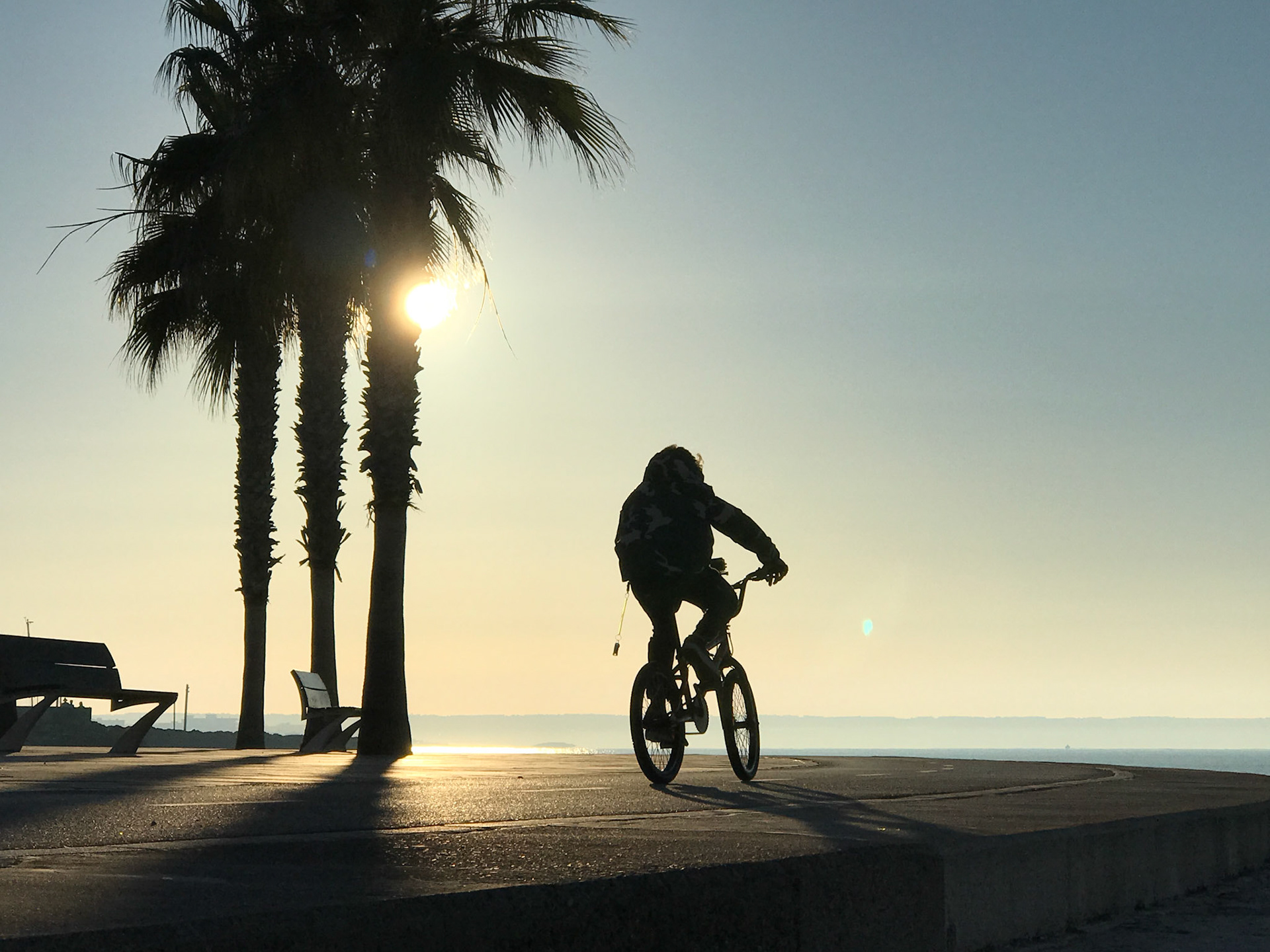 as the sun climbs closer to its zenith, a cyclist's silhouette is etched against the brightening sky in portixol. the palm trees stand tall, capturing the essence of a coastal promenade. this snapshot, taken moments before midday, speaks of movement and stillness alike—the motion of a single rider juxtaposed with the calm of the sea and the stillness of the benches. it's a serene scene, where the day's potential seems as endless as the horizon stretching beyond the cyclist's path.