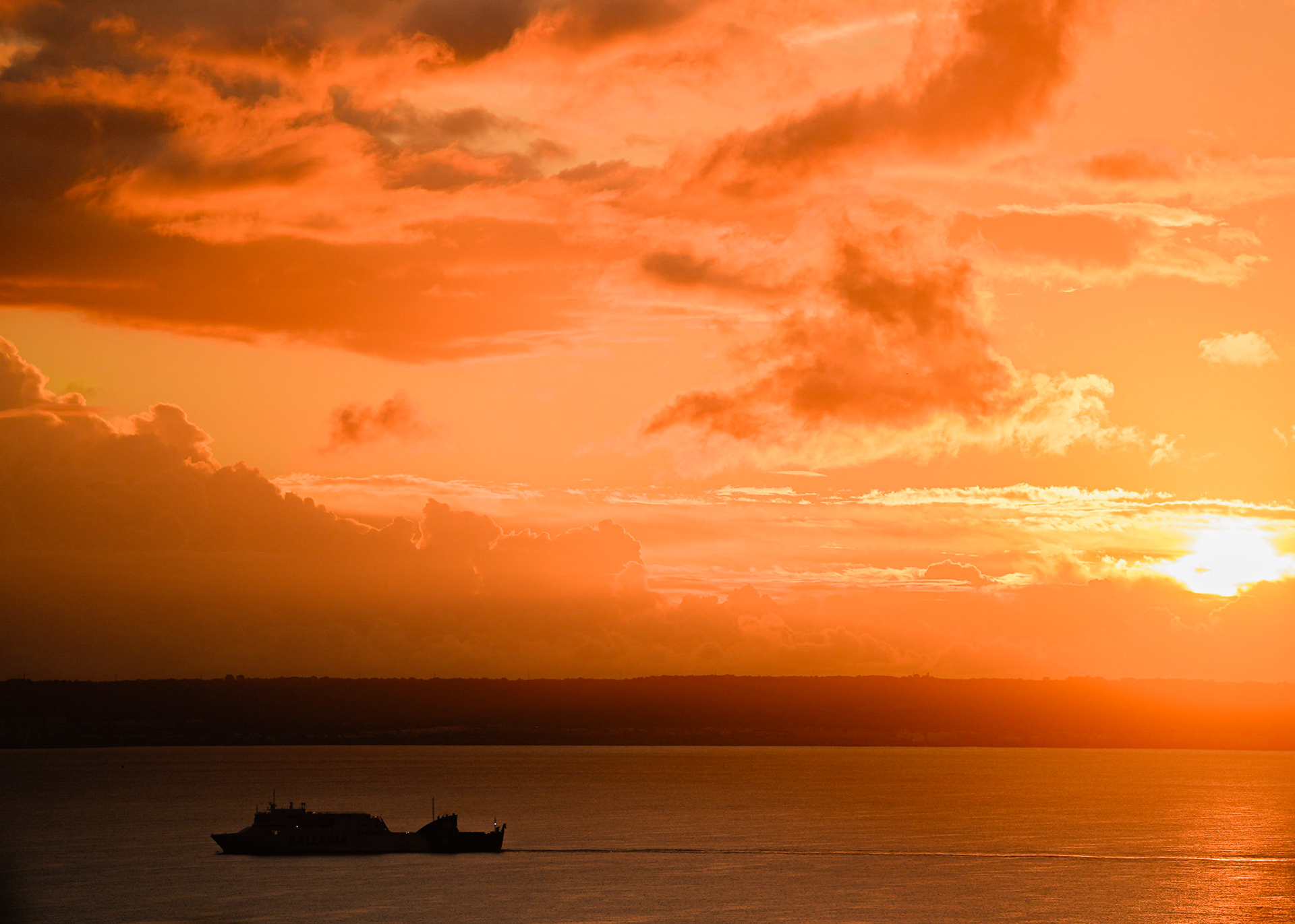 in the bay of palma, the morning reveals a scene of serene beauty. as the sun rises, the horizon blushes with vibrant hues of orange, painting the sky with the early signs of a new day. the calm sea mirrors this dawning light, interrupted only by the silhouette of the morning ferry. here, the day begins with a tranquil promise, witnessed by the quiet nature around. this winter sunrise over palma's bay is a daily spectacle, beloved by those who start their day with the sun's first warm embrace.