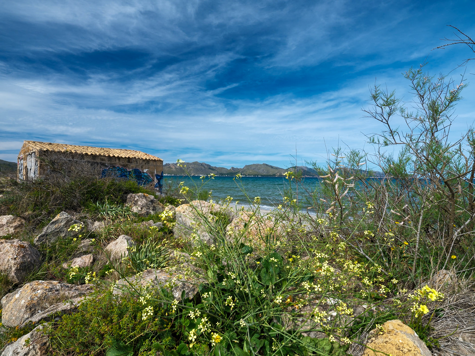 this snapshot along the road from alcúdia to port de pollença frames the raw beauty of mallorca's landscape. wildflowers pepper the foreground, lending a splash of vitality to the rugged terrain. an old, weathered building stands sentinel over the azure waters, its walls a canvas of time and nature. beyond, the undulating hills rise and fall like waves before meeting the expansive blue sky, dotted with wispy clouds—a vibrant tapestry of nature's artistry in the mediterranean.