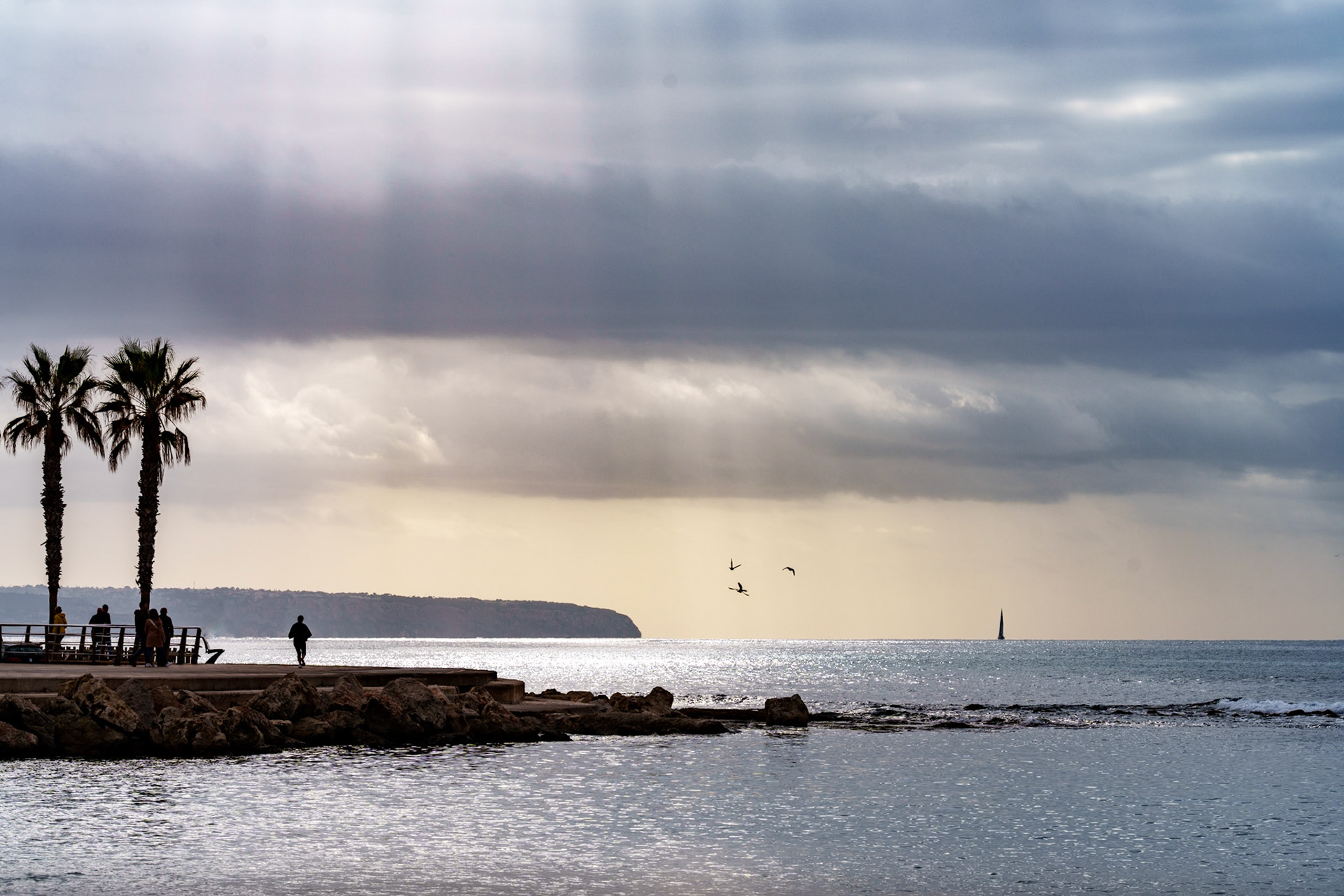 the horizon stretches, wide and unyielding, beneath a sky quilted with shades of storm. two palm trees stand as sentinels, their leaves whispering tales of salt and wind. figures are etched against the shimmering sea, a tableau of everyday serenity amidst the drama of nature's canvas. a sailboat, distant and solitary, cuts a path towards the unknown, while seagulls dance above, carefree in their aerial ballet. this moment is a pause, a breath held between the symphony of waves and the quietude of a looming dusk.