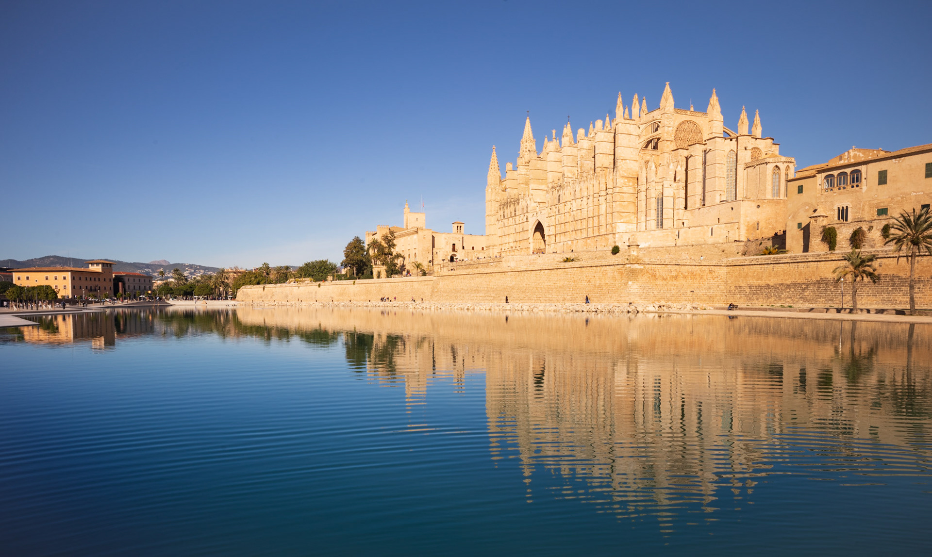 captured this serene scene in palma from the parque de mar, the calm waters creating a perfect reflection of the imposing cathedral. the clear blue sky and the historic architecture blend harmoniously, while the artificial lake adds a tranquil ambiance to the bustling city atmosphere.