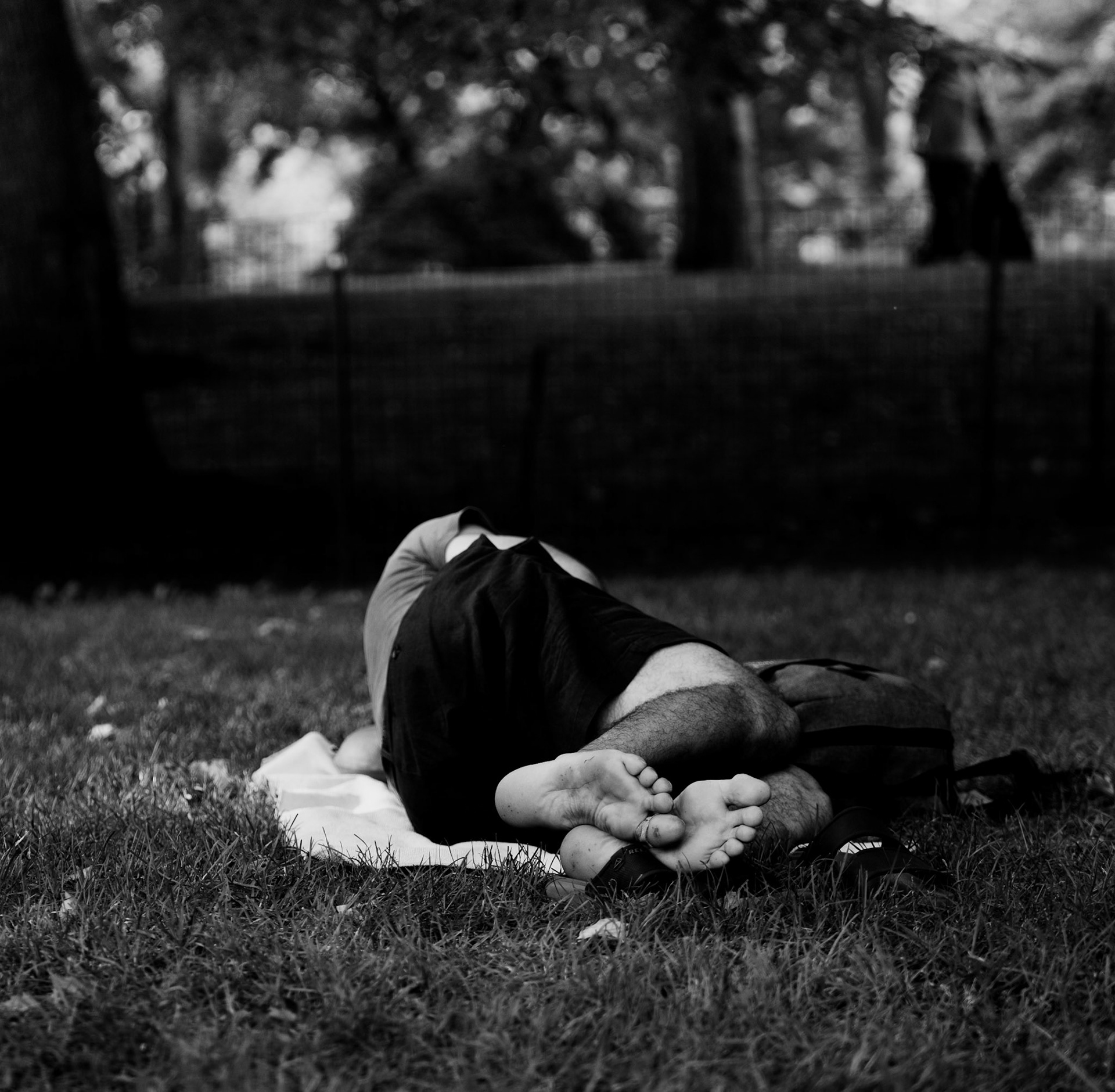 nestled within the green expanse of central park, a man rests on the cool grass, his form curled in a fetal position, embodying a moment of vulnerability and respite. the serene environment contrasts with the gritty reality of city life, creating a poignant narrative of escape and refuge within nature's embrace. this photograph captures the quiet, often unseen moments of rest and recovery in the midst of the bustling metropolis, a testament to the city's dual capacity for both chaos and sanctuary.