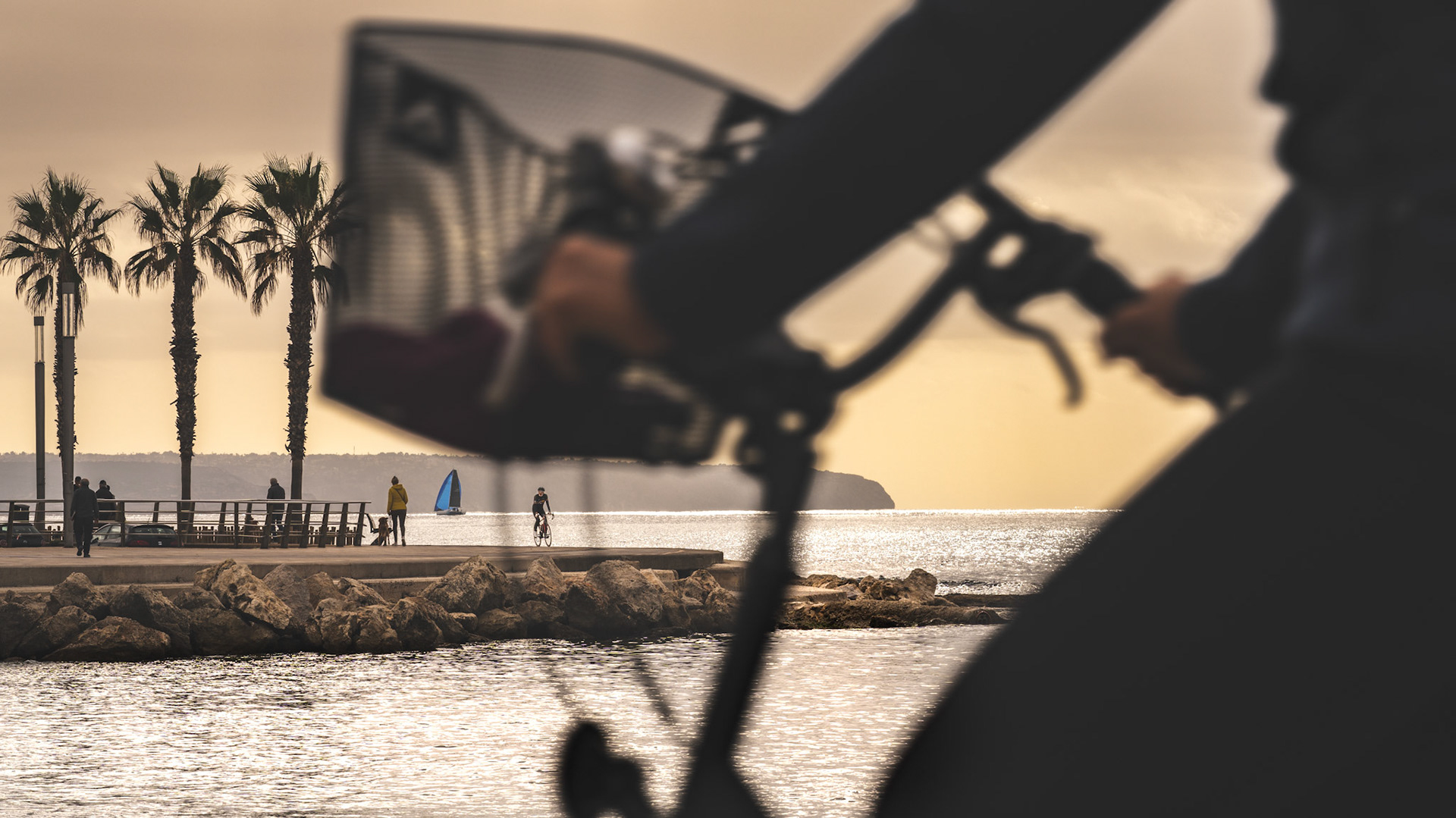 beneath the muted tones of a mediterranean morning, a story of movement unfolds. the bicycle glides into the foreground, its frame a momentary blur against the vast expanse of the shimmering sea. beyond, the silhouettes of walkers, cyclists, and a single blue sail punctuate the horizon, each absorbed in their quiet rhythm. portixol’s golden light frames the scene, balancing the tangible with the dreamlike. the image whispers of journeys—of destinations known and unknown, of pauses in motion, of life in layers.