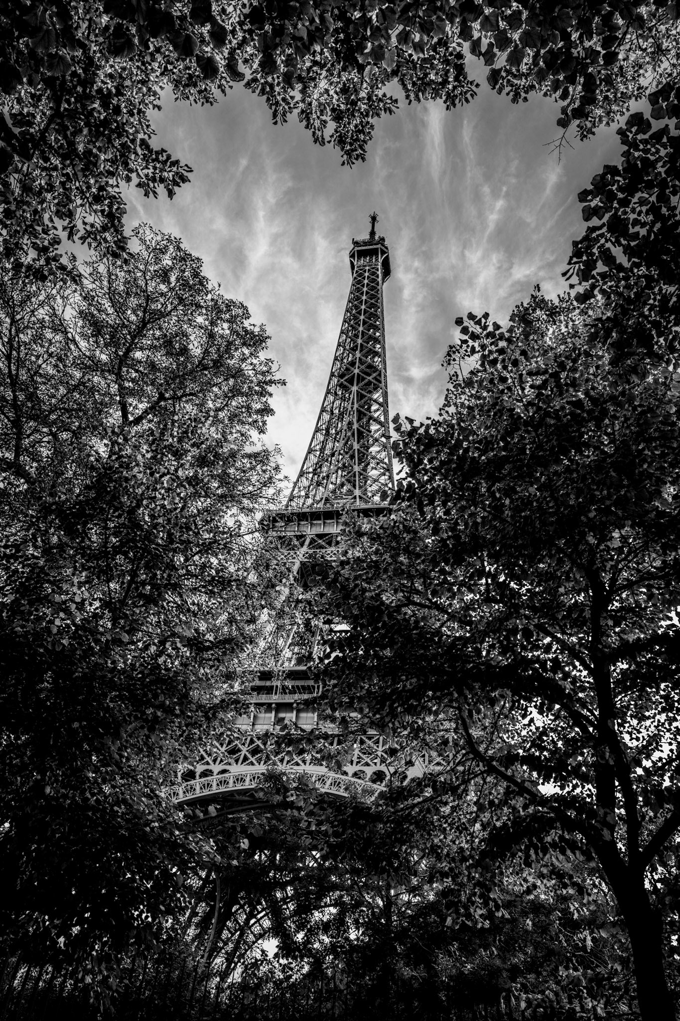 the eiffel tower has long stood as a global symbol of romance, drawing countless couples to its iconic silhouette against the parisian sky. this photograph uses the surrounding foliage to form a heart shape, subtly framing the tower as if it were piercing through, embodying the profound emotional connection many feel here. beyond its iron structure, the tower represents timeless love and enduring dreams, embodying the spirit of paris as a city where romance lives in every corner. my goal was to capture the symbolic power of the eiffel tower, offering a perspective where nature and architecture converge to tell a story of love’s resilience.