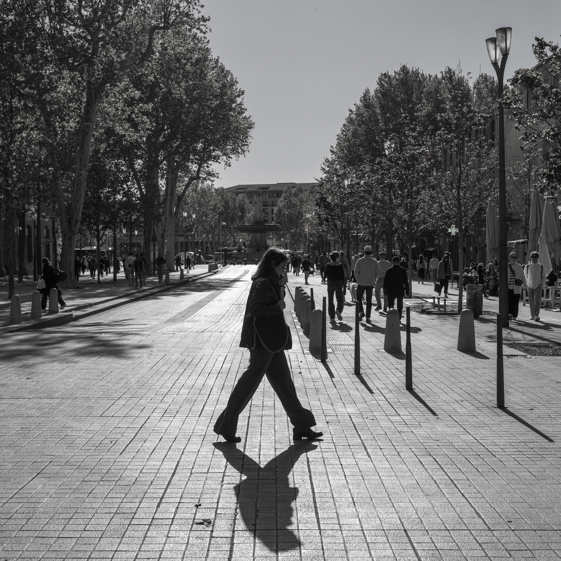 in the play of light and shadow, the cours mirabeau comes alive in chiaroscuro. a figure moves across the boulevard, her silhouette a dark inkblot on the sun-drenched canvas. trees stand as sentinels of history, whispering stories of past promenades in the late afternoon breeze. the pavement glows, a river of gold underfoot, leading to the heart of aix-en-provence, where every step is a dance with time.