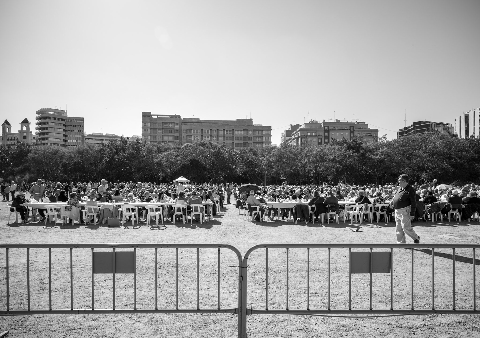 amid the reclaimed riverbed of the turia, now a tapestry of lush pathways and gardens, a convivial scene unfolds. valencia's elder residents, the city's living history, come together, a jovial testament to the town hall's commitment to community spirit. the park, a living remnant of nature's adaptation and architectural foresight, plays host to this assembly, where stories are shared under the shelter of foliage, and laughter resonates through the air. it's a humble, yet poignant reminder of the city's pulse, beating in tandem with those who have watched it grow.