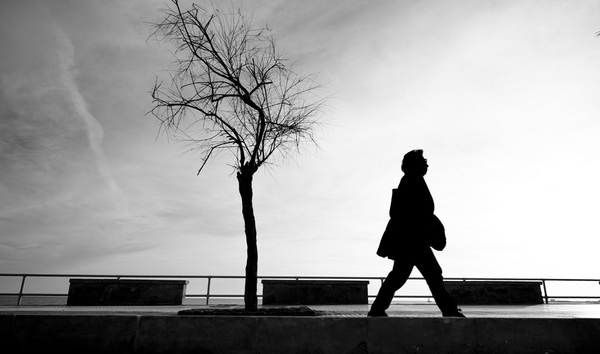 along the waterfront promenade of palma de mallorca, the silhouette of a passerby is etched against the open sky. beside them, a leafless tree stands in quiet companionship, together creating a minimalist dance of forms and lines in the soft light. it's a moment where human and nature, movement and stillness, are captured in stark, poetic contrast.