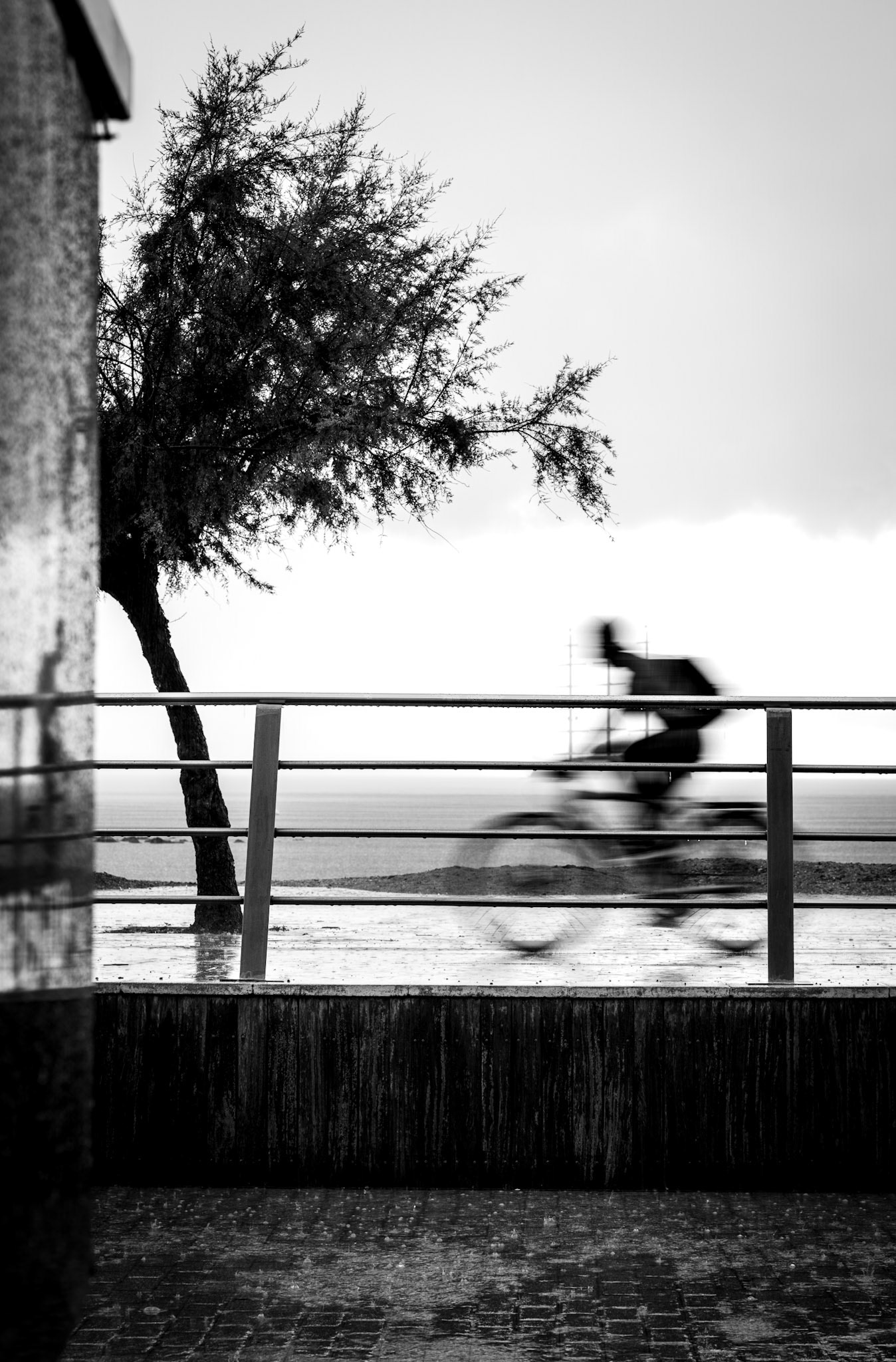 as the rain falls softly, the world slows down, but one figure presses on, blurred and weightless, almost like a memory passing through. the cyclist’s form is just a hint of movement, captured in the monochrome quiet of a rainy day. the bare tree stands still, its branches outstretched, while the lines of the fence lead our gaze beyond, towards the sea. this scene captures a fleeting moment, a reminder of persistence and solitude under a heavy sky.