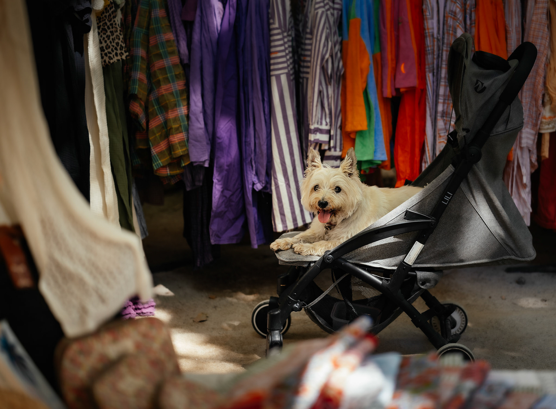 captured at the bustling weekly market on place des lices in saint-tropez, this photo presents a charming and humorous scene. amidst a kaleidoscope of colorful clothing, a small, fluffy dog lounges comfortably in a stroller, seemingly waiting for its owner who might be lost in the fervor of shopping. the dog's relaxed demeanor and playful tongue out add a whimsical touch to the vibrant, lively backdrop. it's a candid moment that captures the spirit of the market and the unexpected surprises it holds.