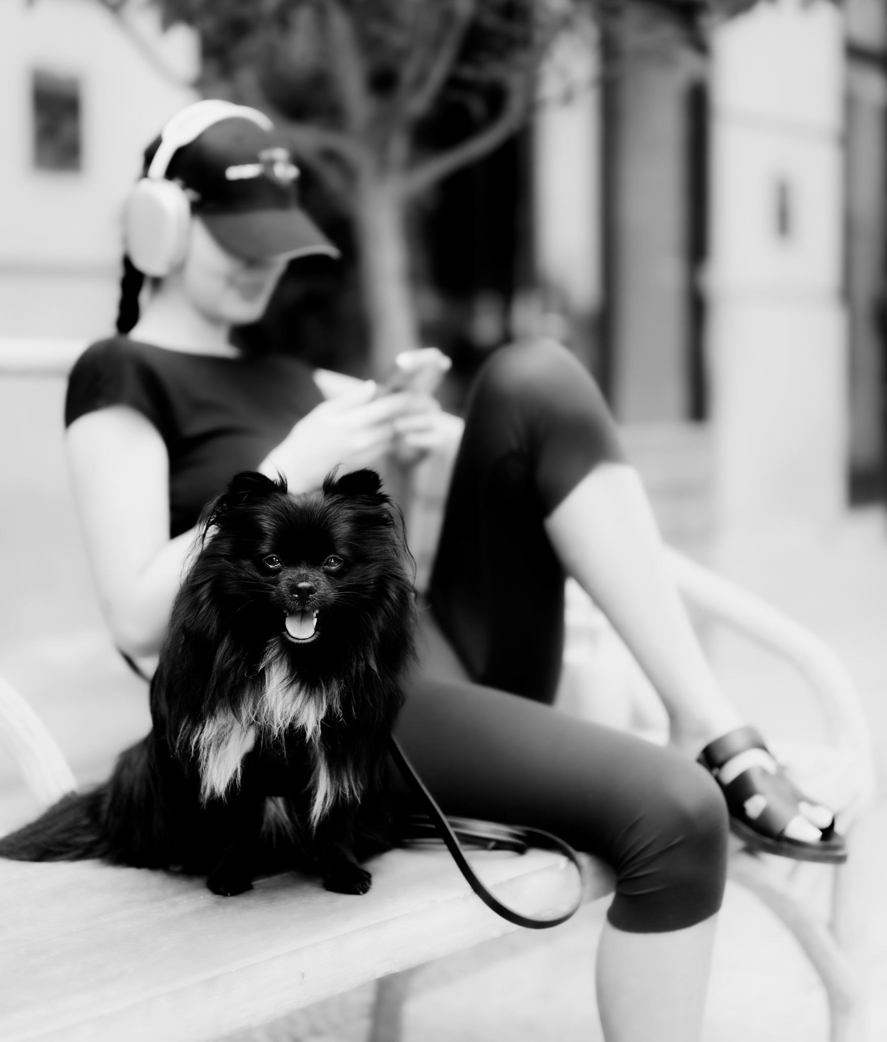 captured on crosby street in soho, this portrait features a charming black dog sitting attentively on a bench, exuding joy and curiosity. the dog's bright eyes and fluffy coat create a striking contrast against the blurred background, where its owner, a young woman in casual athletic wear and headphones, is engrossed in her phone. the soft focus on the woman enhances the dog's presence, making it the clear focal point of the image. this photograph beautifully showcases a serene moment in an urban setting, highlighting the special bond between pets and their owners.