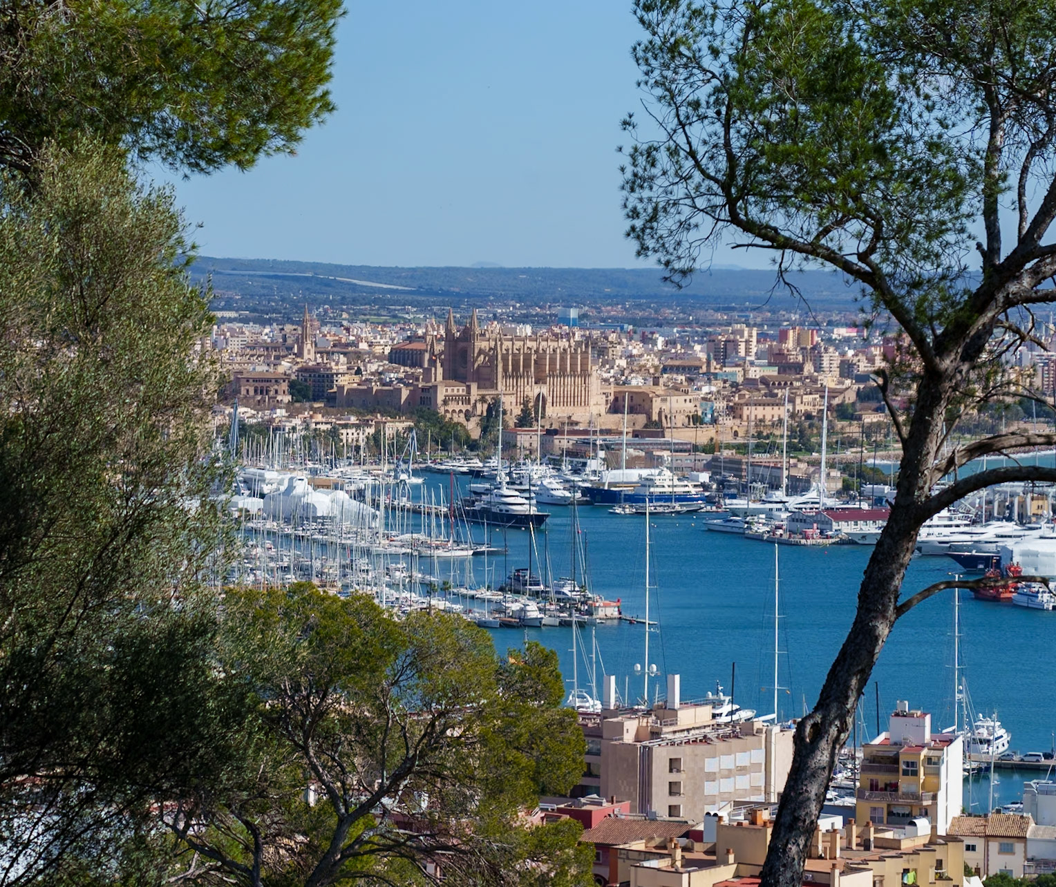 during a walk in the bellver castle parc, i captured this view. the cathedral of palma, la seu, stands out against the blue sky, overlooking the real club nautico, a famous hub in the harbour. boats and yachts dot the water, a testament to the city's nautical heritage. the lush greenery frames this vibrant urban landscape, where historic architecture meets the leisure of mediterranean life.