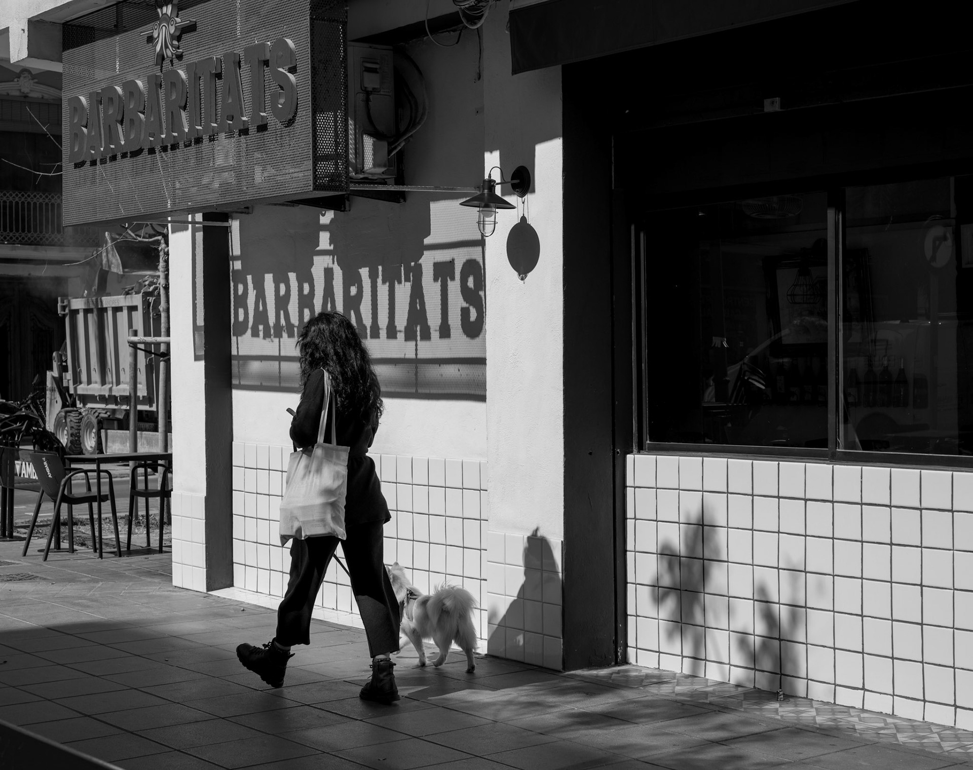 in the lively heart of cabanyal, the vibrant seaside district of valencia, life is sketched in light and shadow. a woman and her small, fluffy companion stroll past a local eatery, their silhouettes casting a soft tale on the tiles. the afternoon sun plays with the architecture, draping elongated shadows that hint at the area's storied past, while the simple moment of a walk signifies the everyday beauty of the present. this monochrome snapshot captures the essence of cabanyal—a canvas where history, community, and the gentle rhythm of seaside living converge.