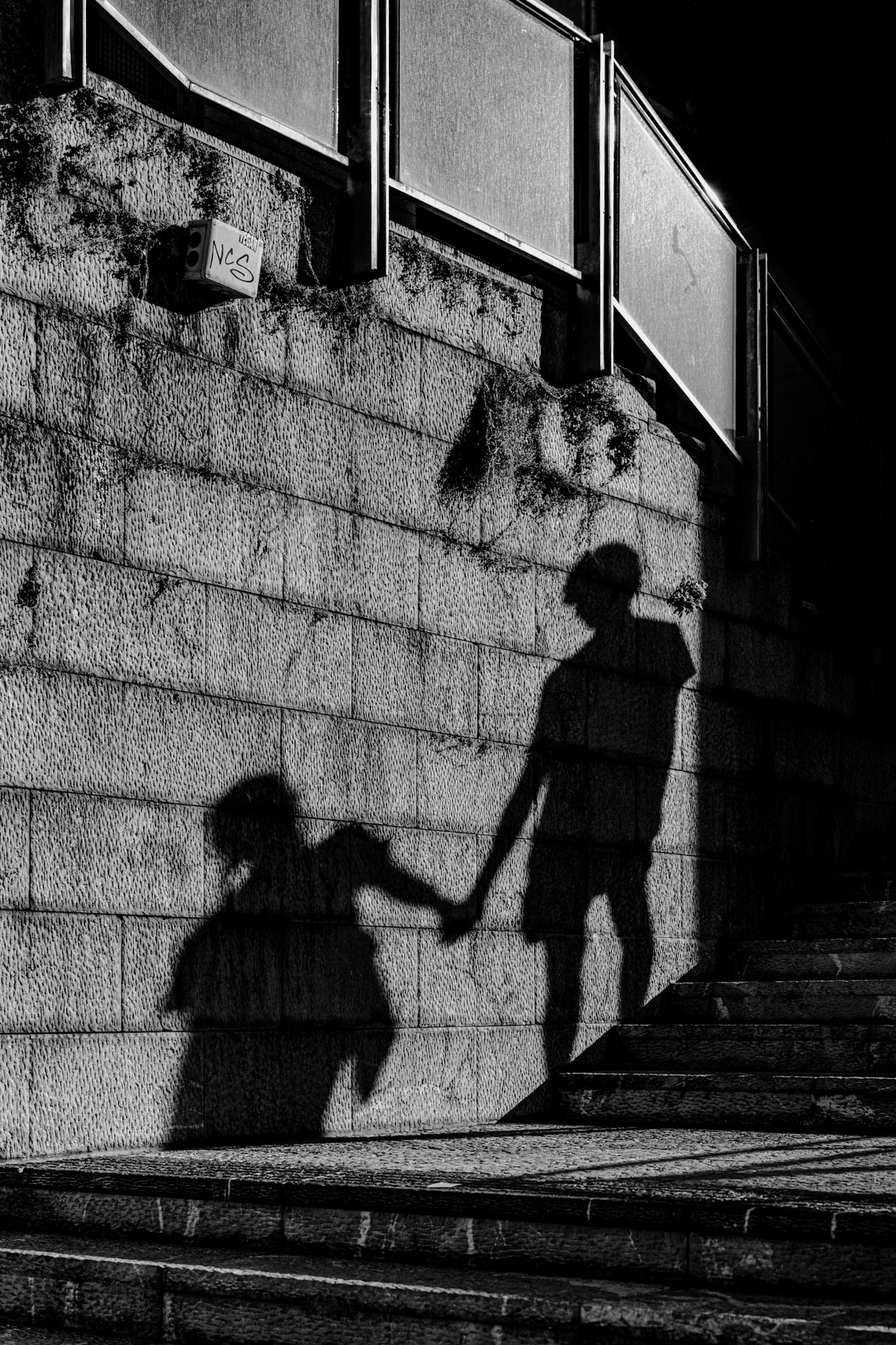 as the shadows of the two figures stretch across the textured stone wall, their intertwined hands reflect a shared path. at this moment, they are walking downhill, facing life's small declines, but their bond holds strong. the steps they take together symbolize the inevitable ups and downs they’ll face, and just as the stairwell may rise again, so too will they. i wish them a journey full of resilience and strength, where every shadow carries a promise of light.