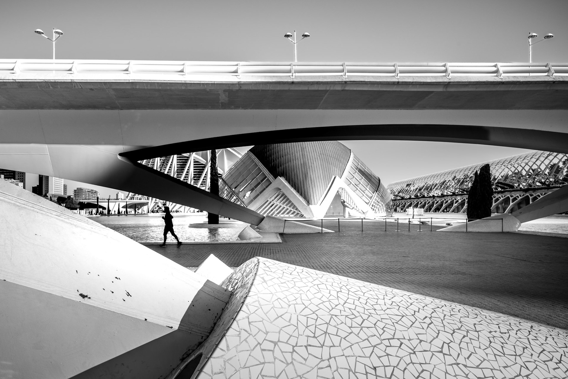 a runner moves through the futuristic architecture of the ciudad de las artes y las ciencias in valencia, cutting through a landscape of lines and curves. the structures frame the human figure in dynamic contrast, as light and shadows carve out patterns in an urban symphony. there is a harmony in the chaos, a rhythm in the geometric interplay between concrete, glass, and steel, softened only by the delicate movements of a solitary runner.