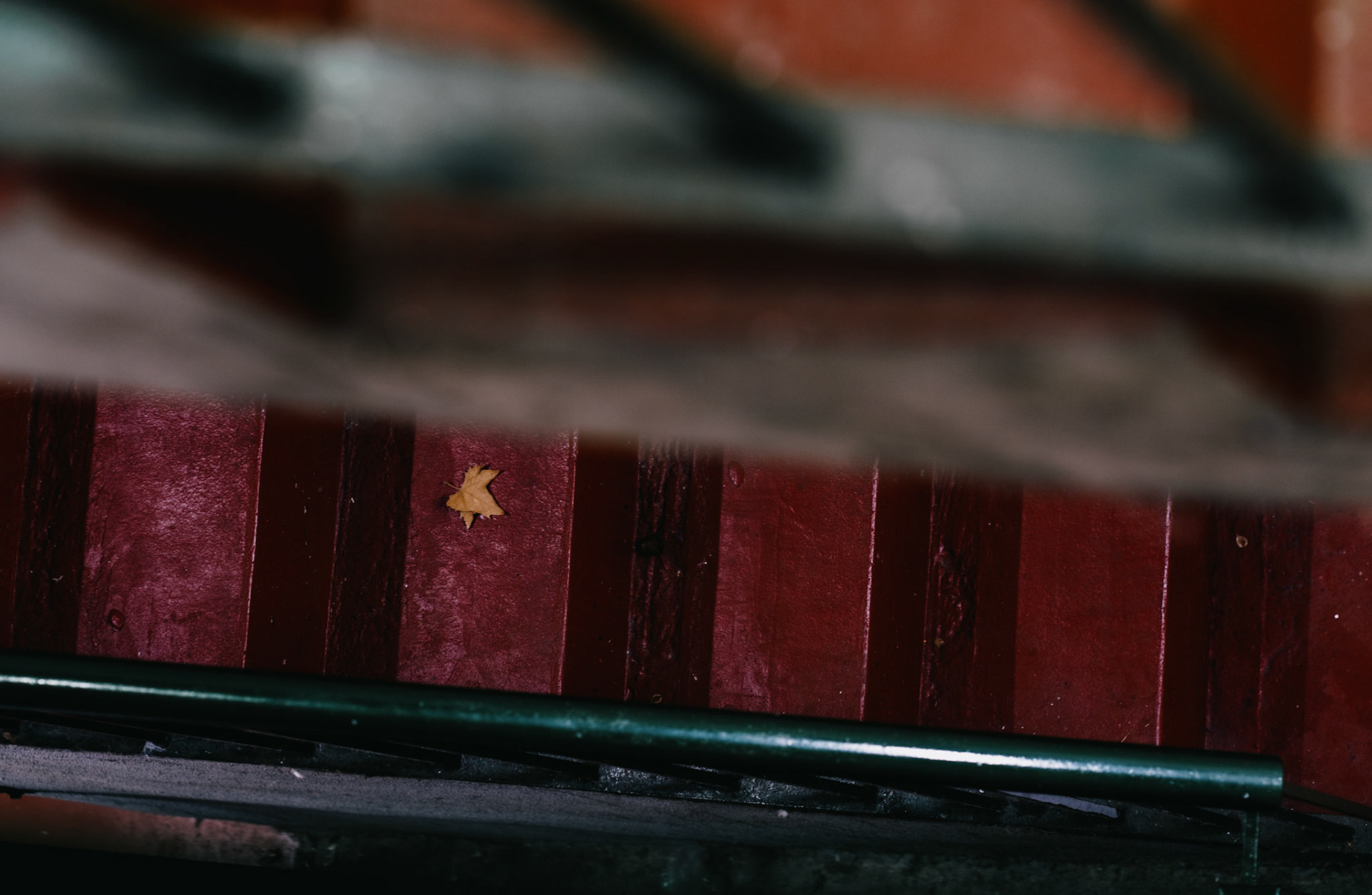 tucked away in the stairwell of an underground parking structure near plaza espana in palma de mallorca, a solitary leaf lies on richly stained wood. the stark simplicity of its surroundings — a blend of straight metal lines and the warm, textured hues of the steps — frames the leaf's delicate form. this image captures the unexpected beauty in the mundane, a single moment of autumn's touch against the permanence of urban constructs. light and shadow play across the scene, highlighting the leaf's transient presence.