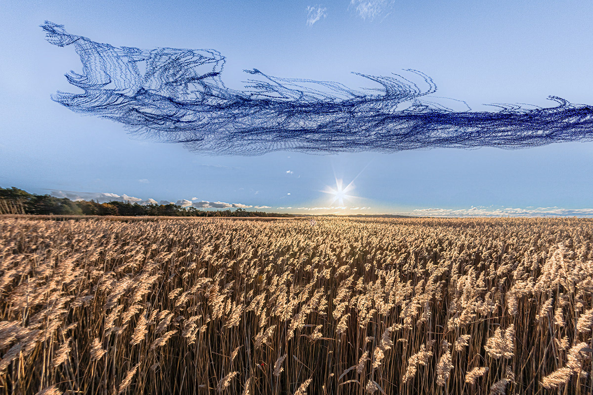 Traces in the sky VI