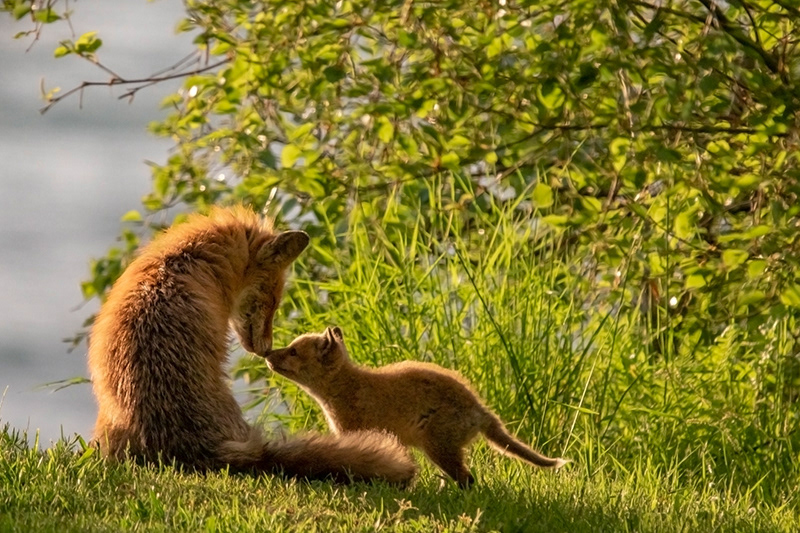 Quality time