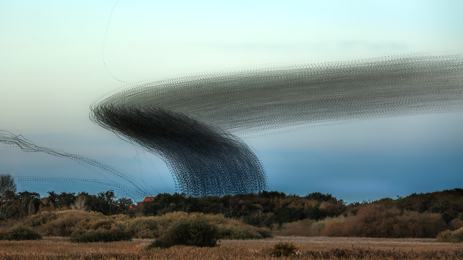Traces in the sky VIII