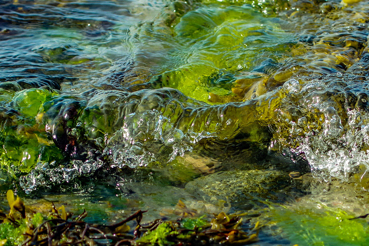 Green waters