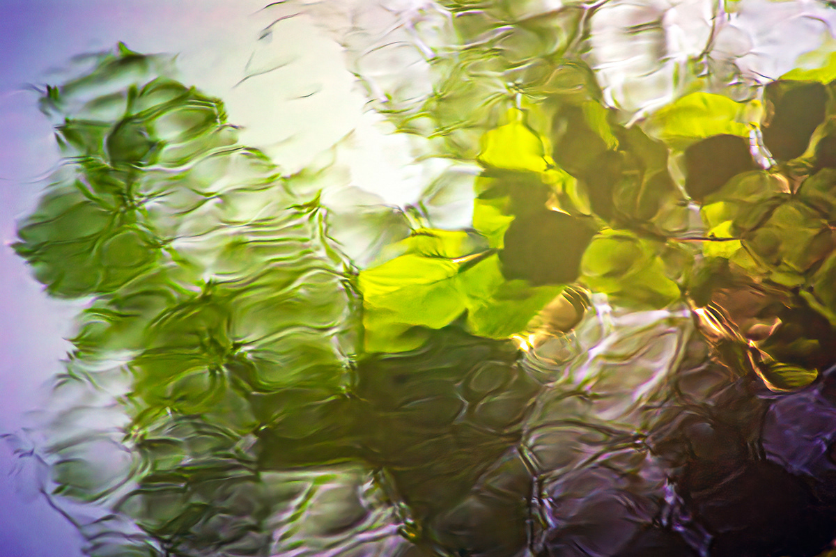 Mirrored leaves