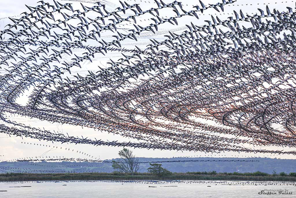 Traces in the sky IV