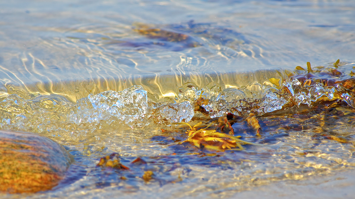 Marbelled wave
