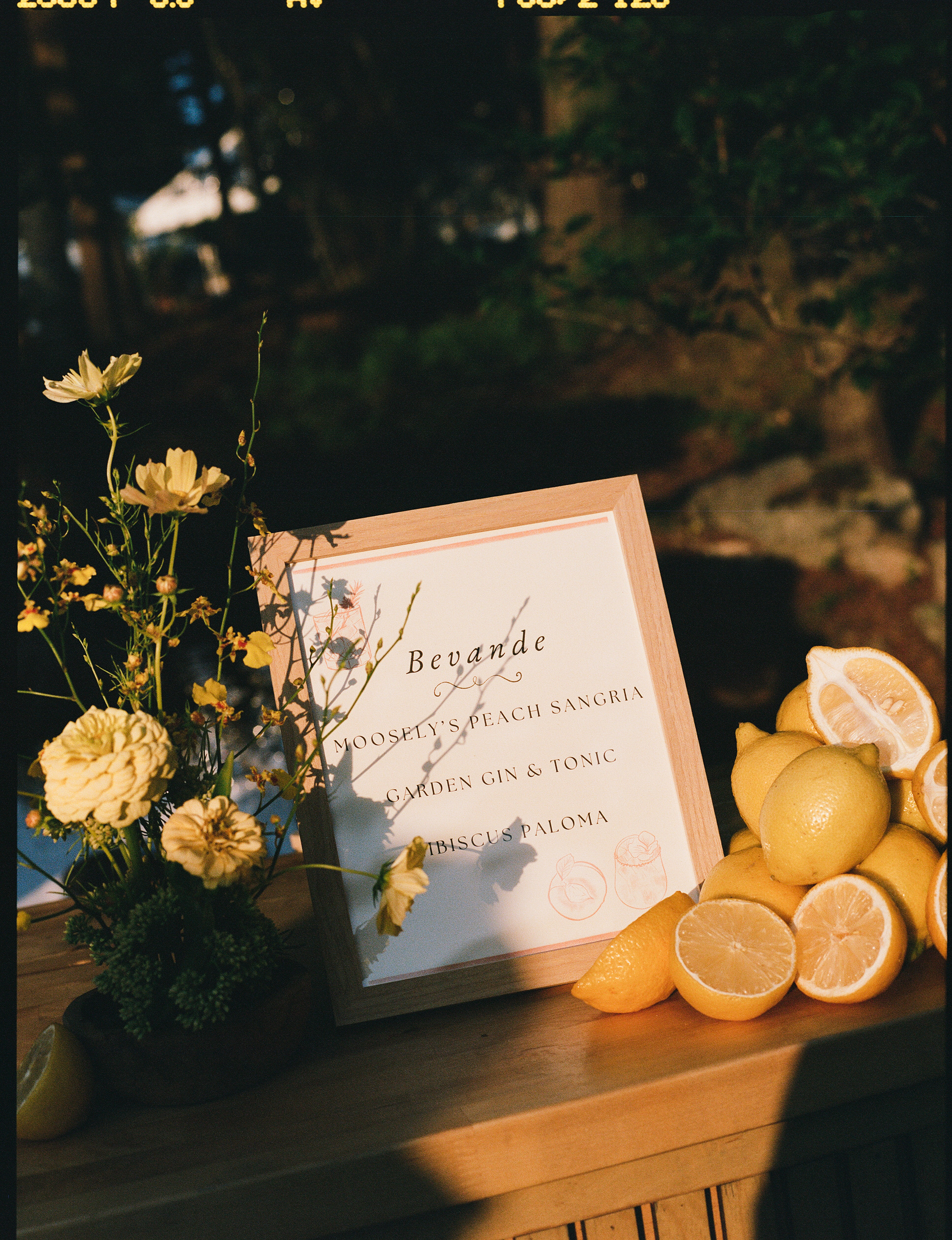 Gabby Riggieri Photography