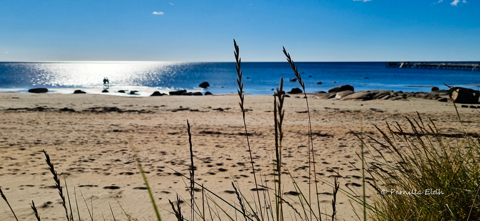 Falkenberg, Sweden