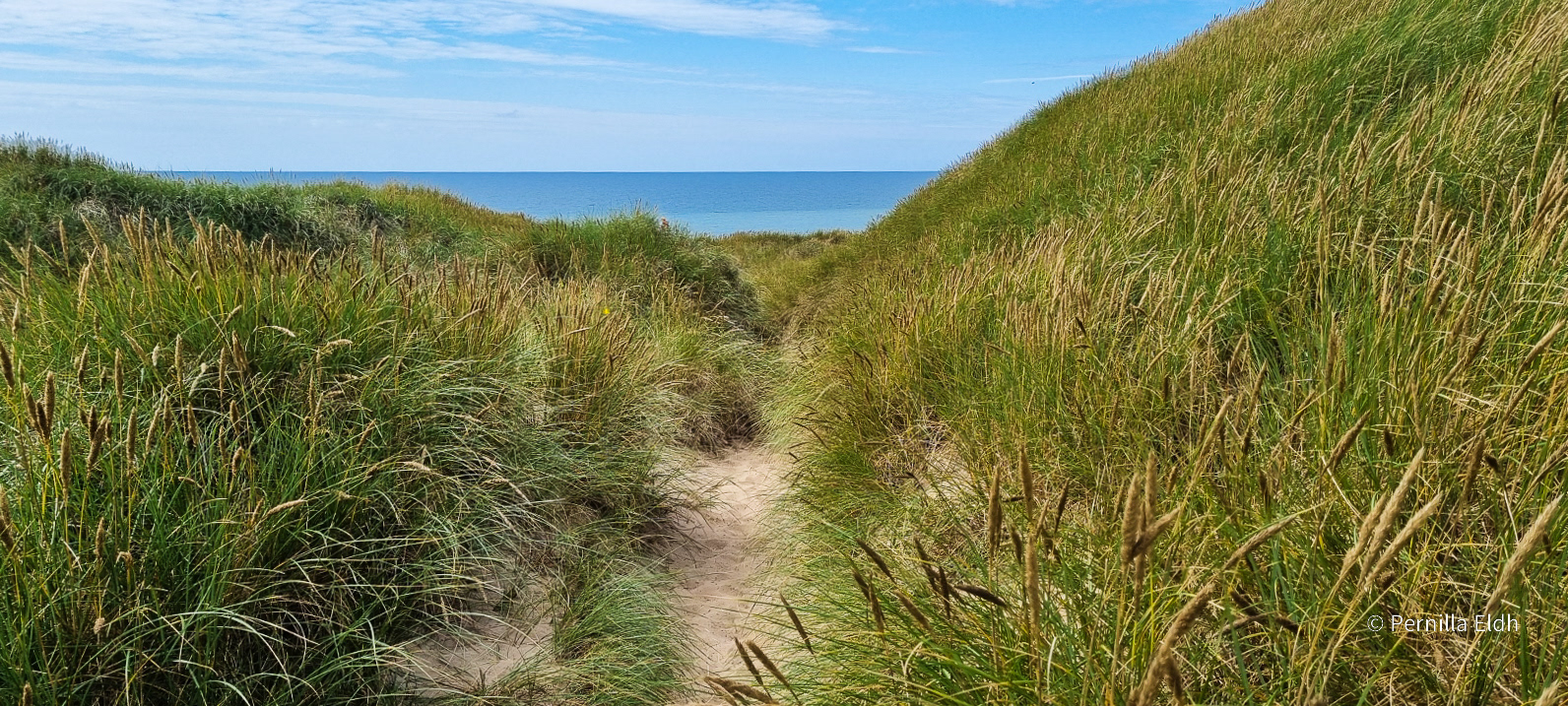Agger National Park, Denmark