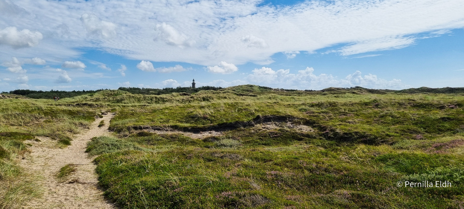 Agger National Park, Denmark