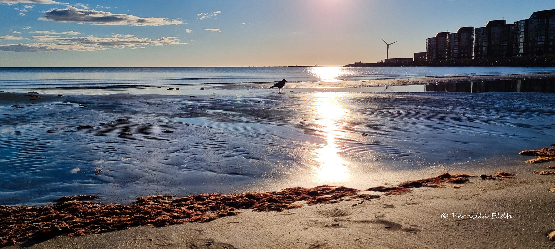 Falkenberg, Sweden