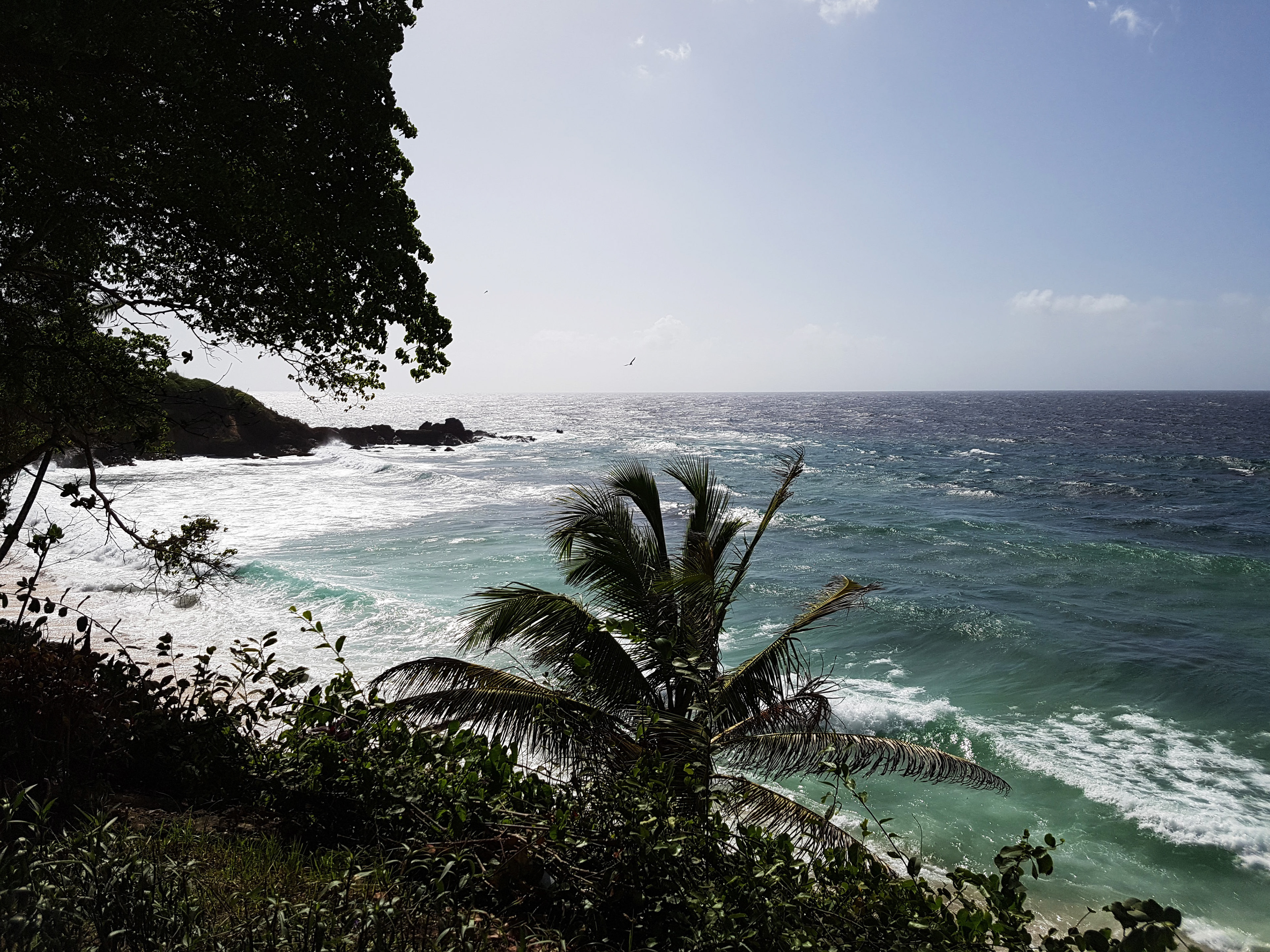 Tobago