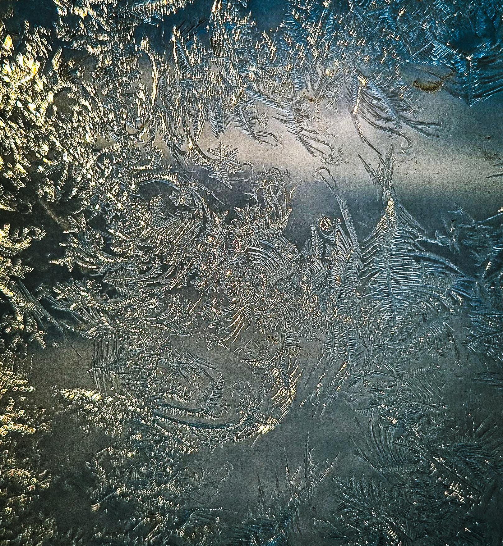 Swedish Winter
