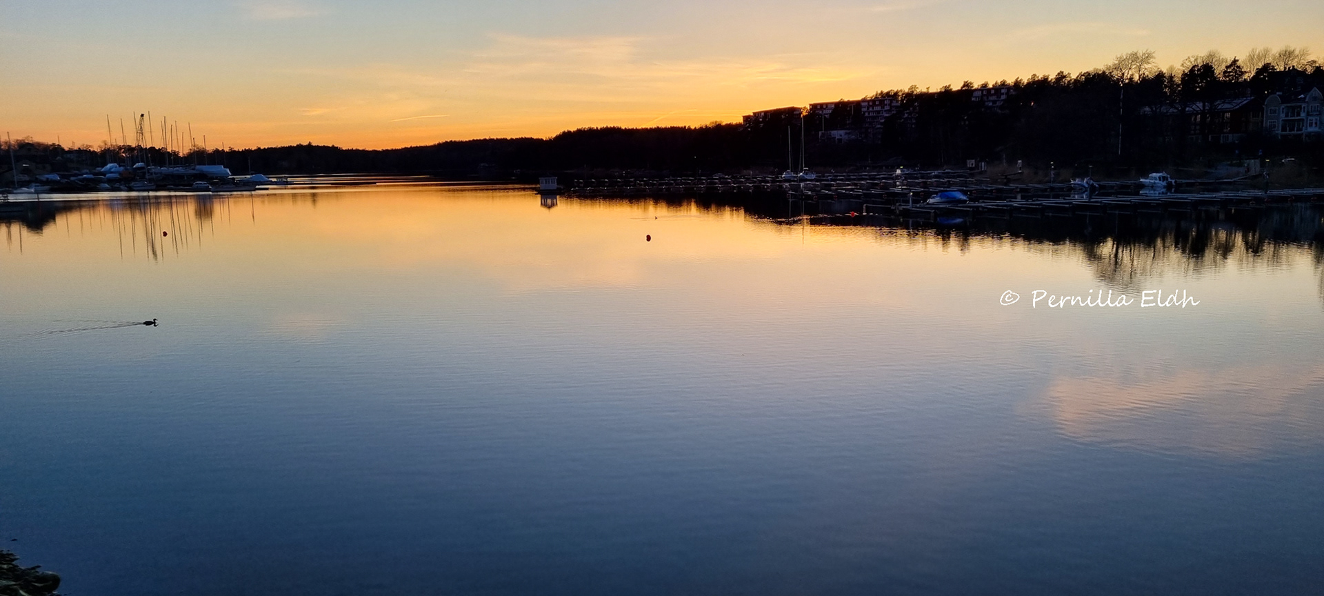 Gustavsberg by night
