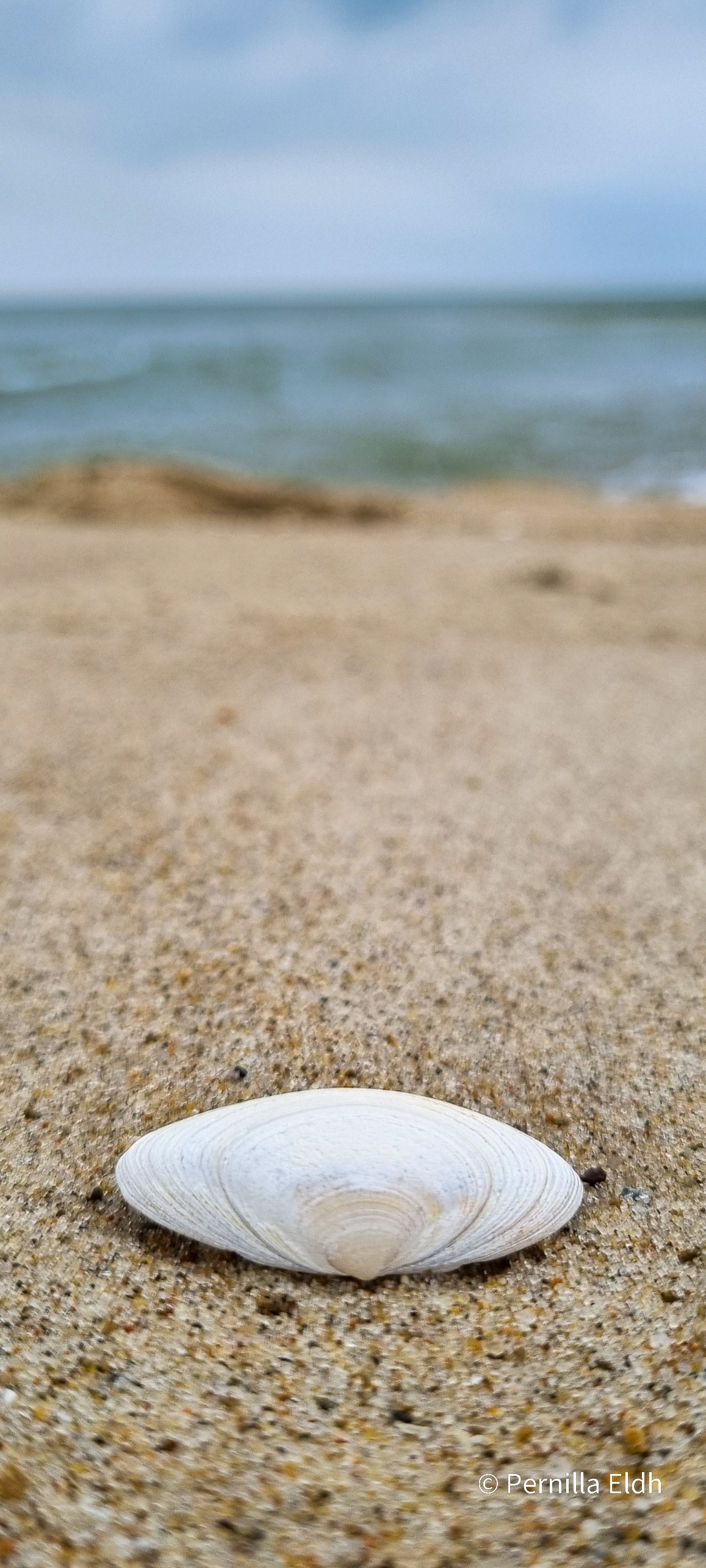 Agger Beach, Denmark
