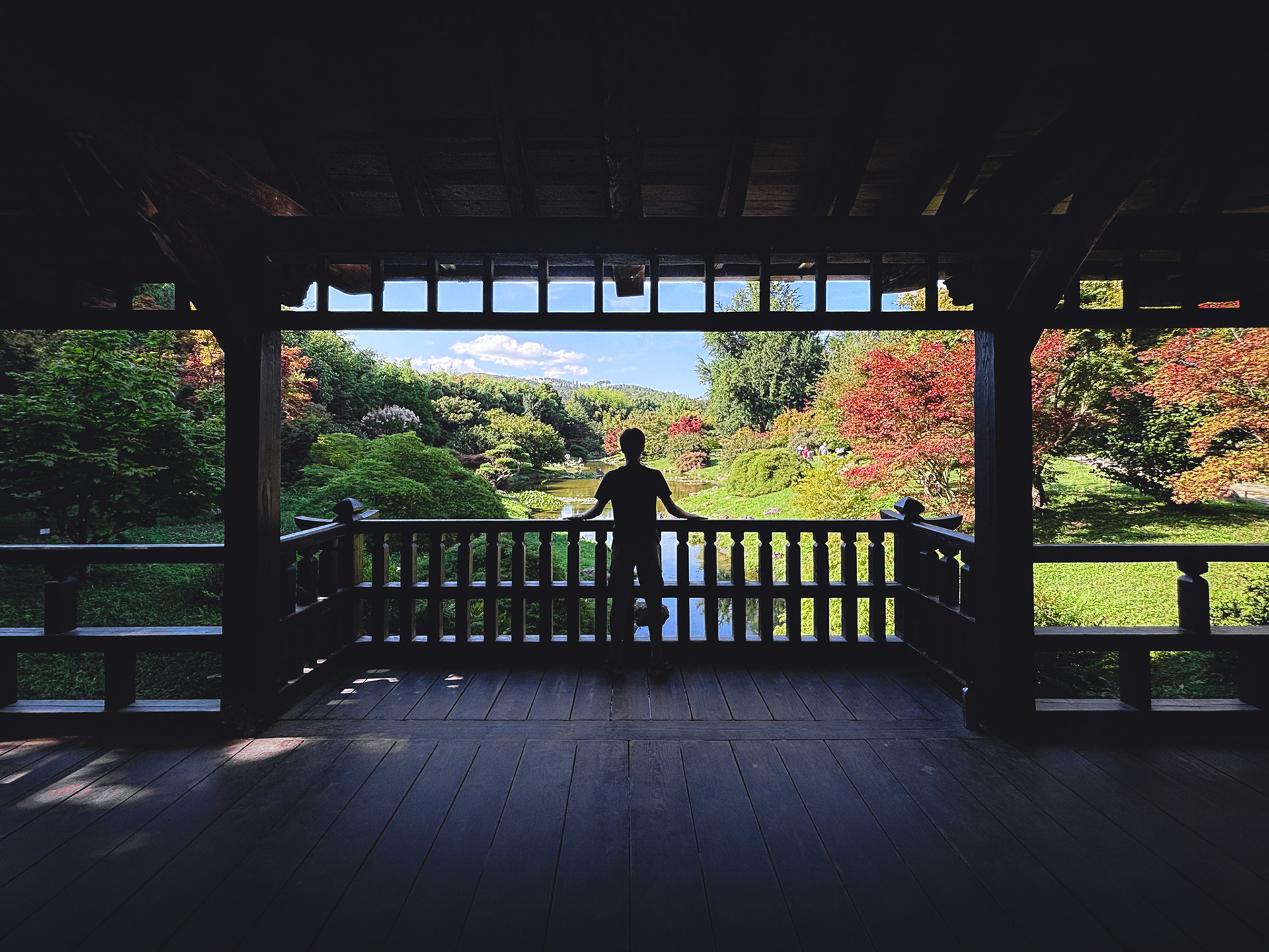 Bamboo Garden (2025)