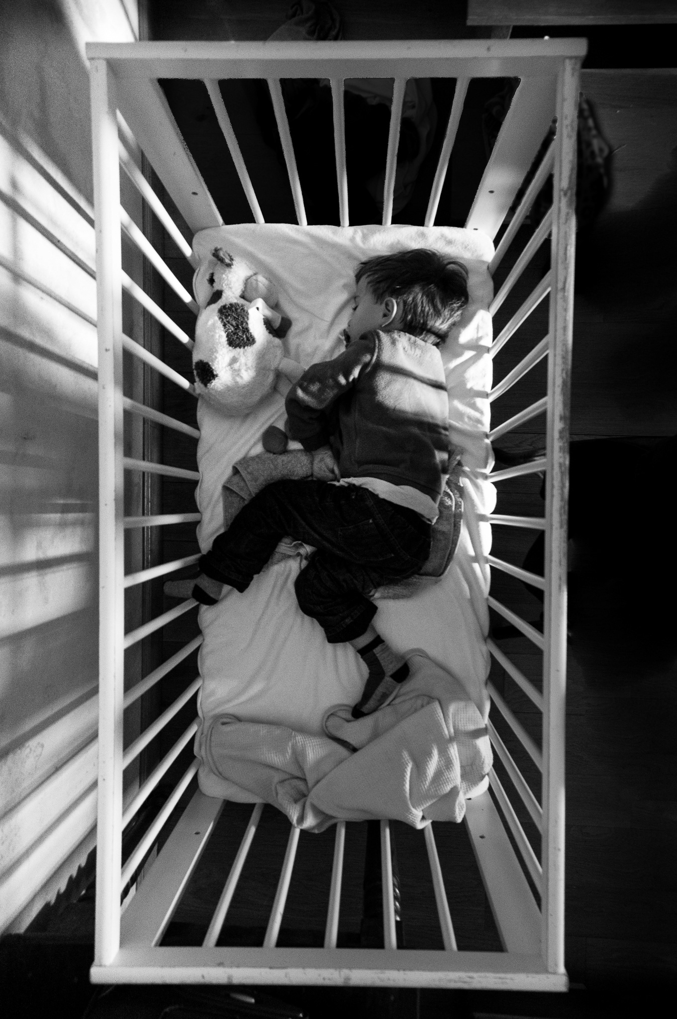 A Lion in a Cage (2014)