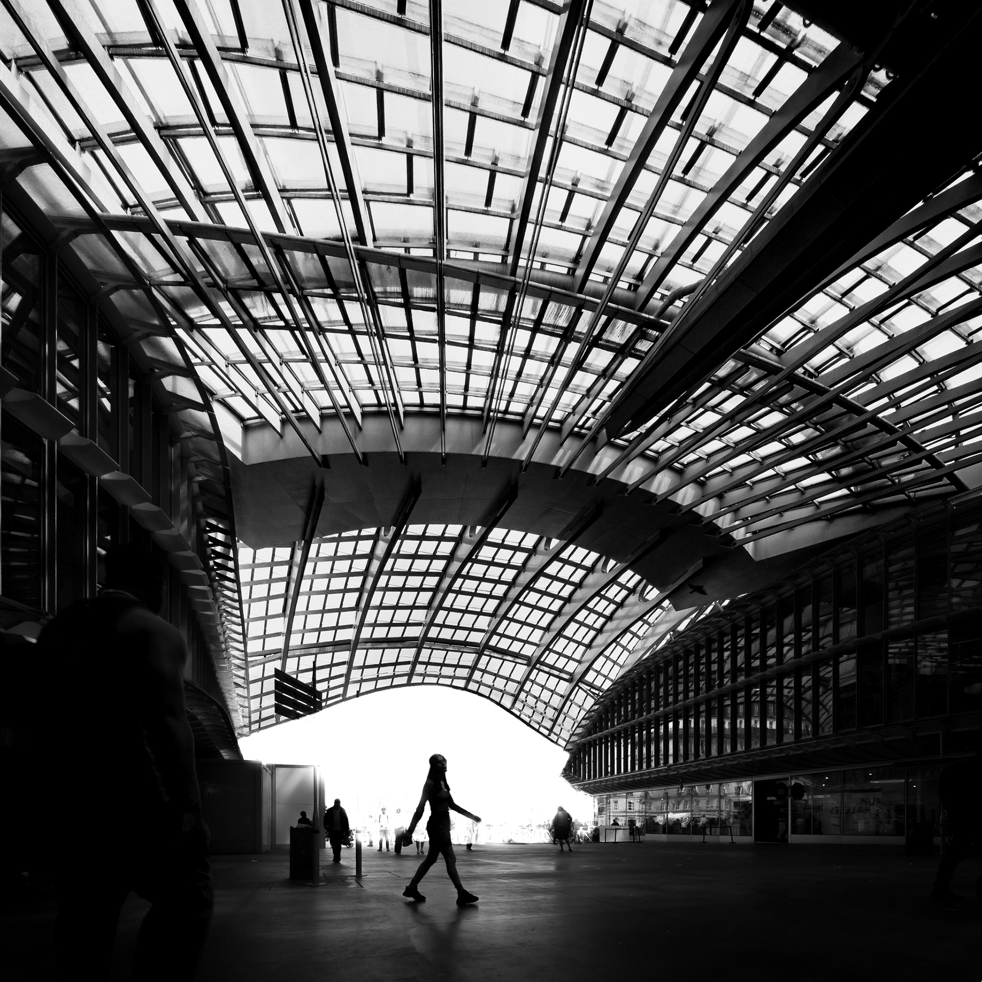 Under The Dome (2023)