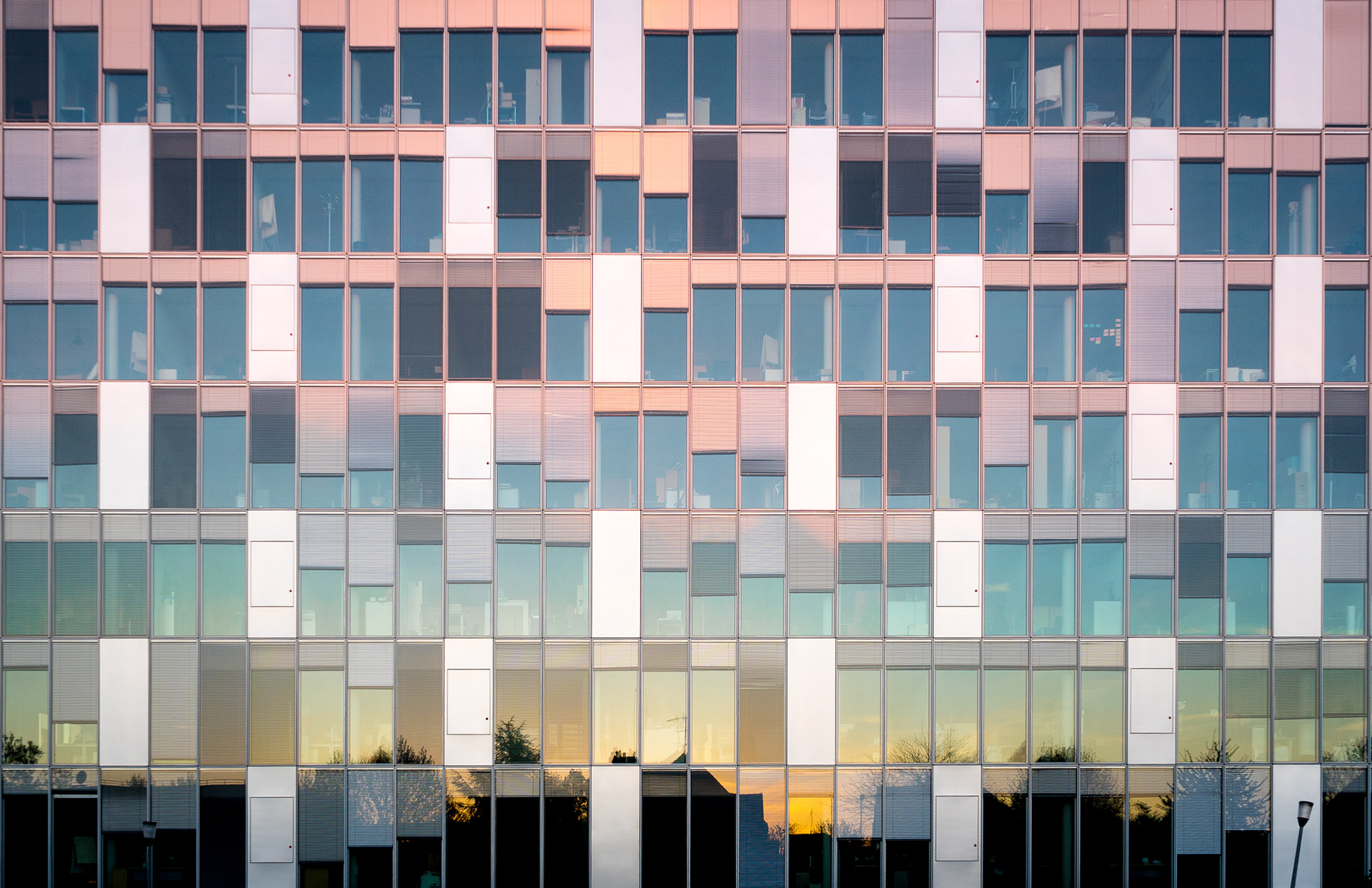 Pinky Milky Way (2015)