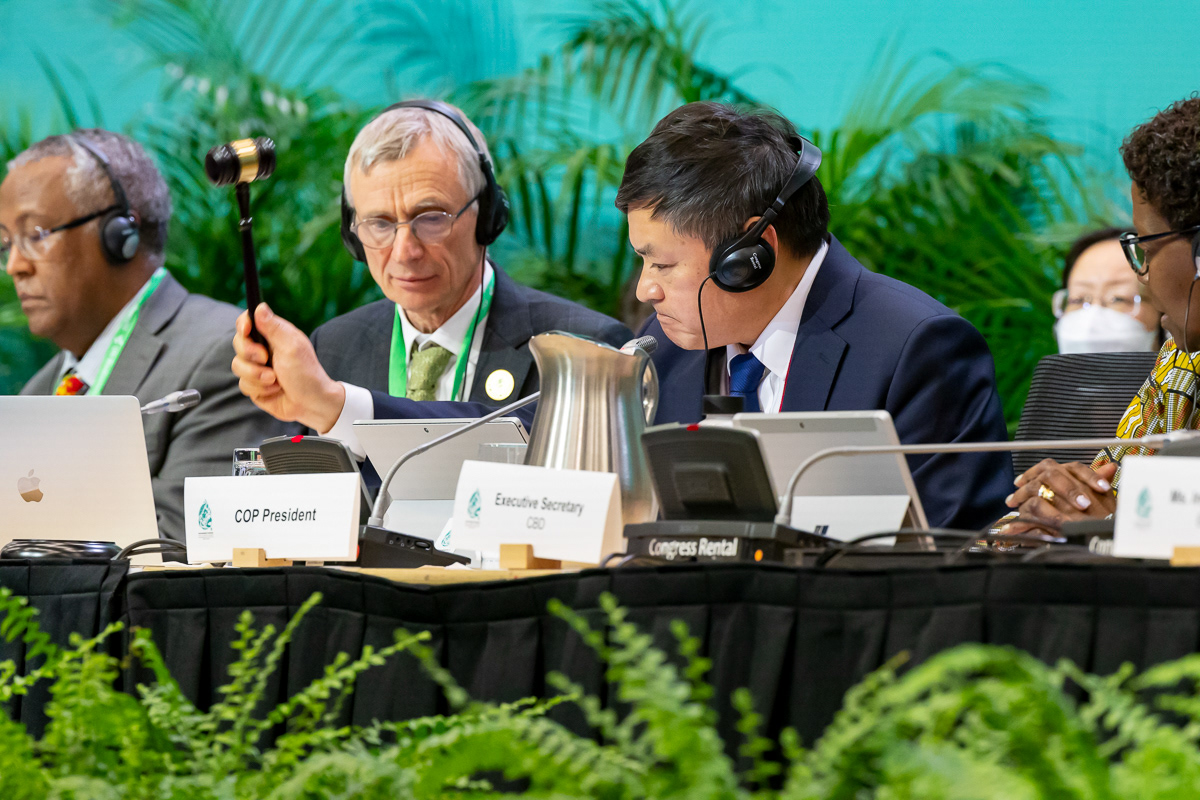 COP15 - UN Biodiversity Conference