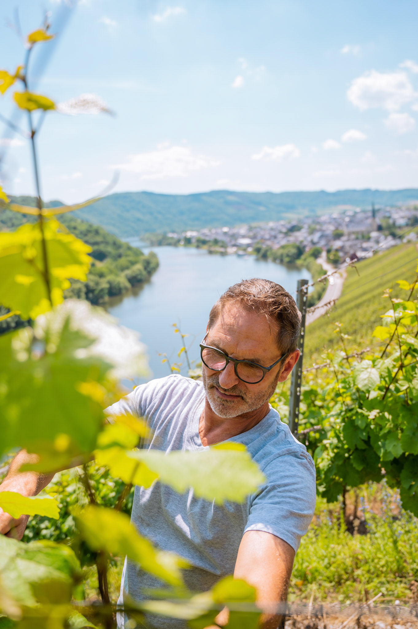 Mann arbeitet in den Weinbergen in Kröv an der Mosel