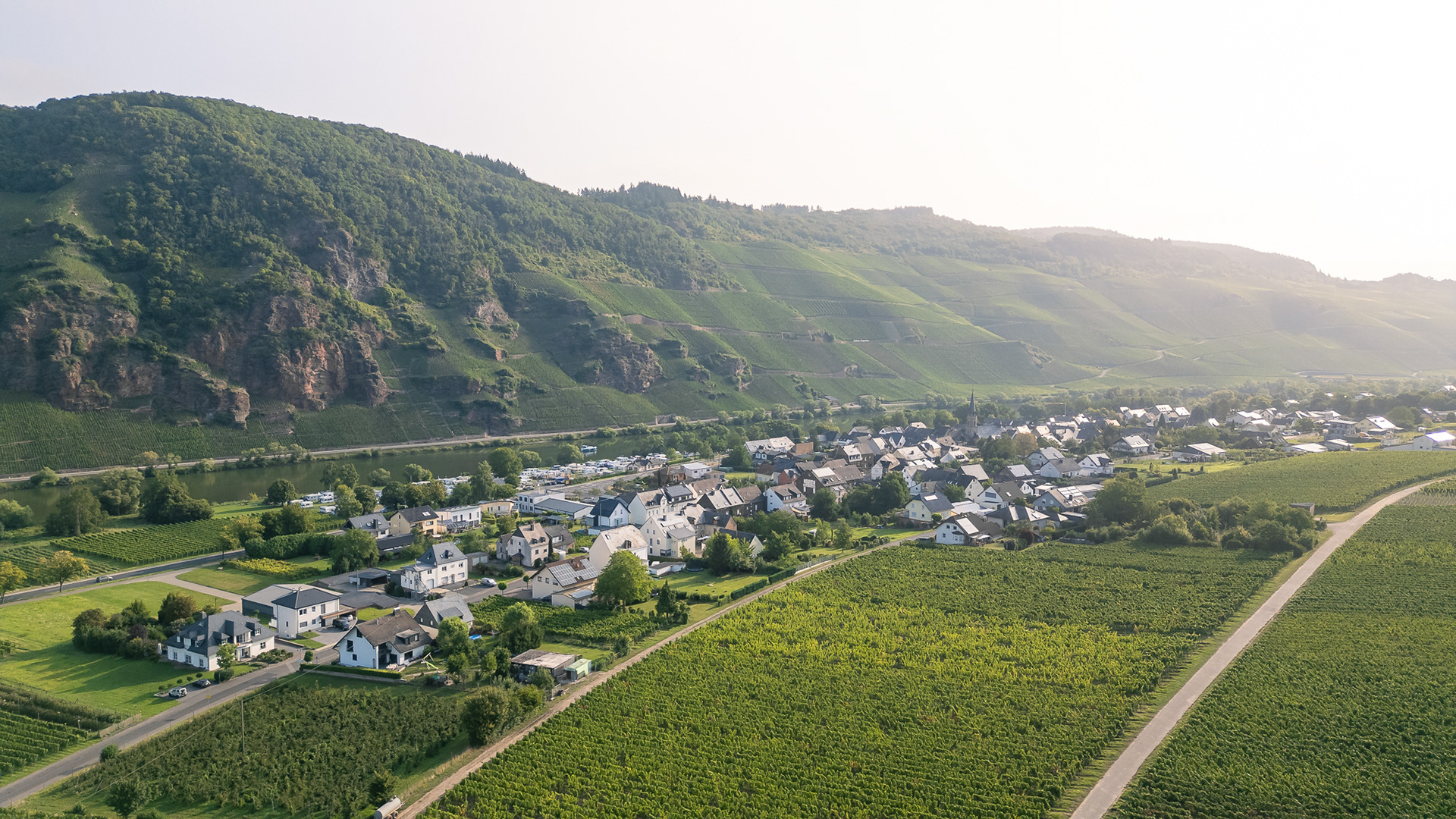 Luftaufnahme von Erden mit Weinbergen im Hintergrund