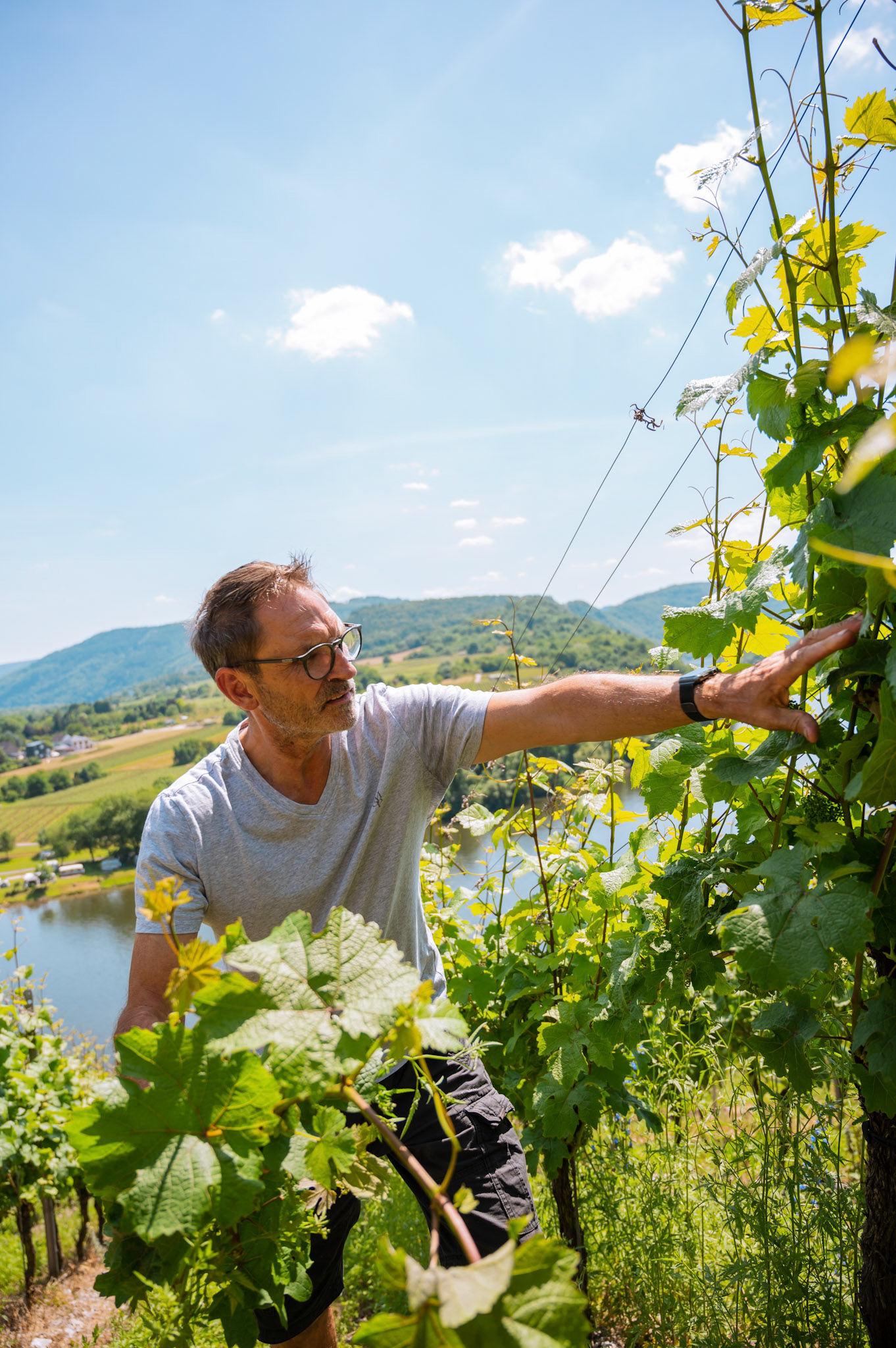 WEINGUT KNODT TROSSEN