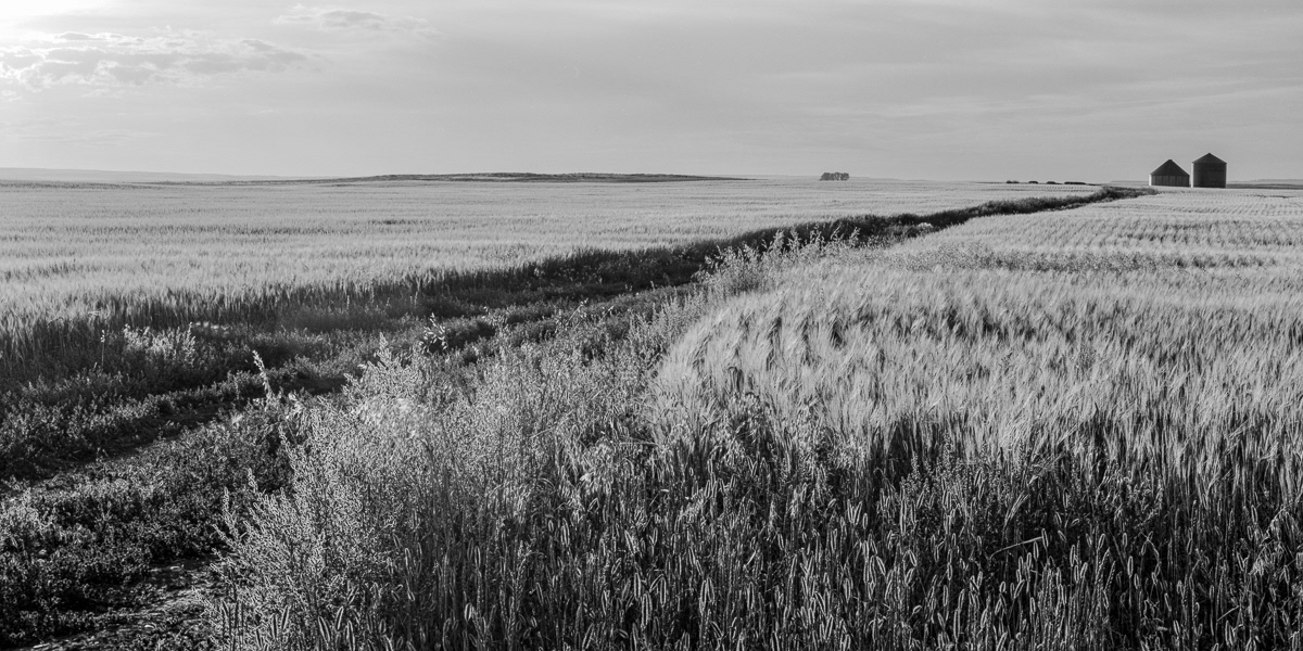 Cadillac, Saskatchewan