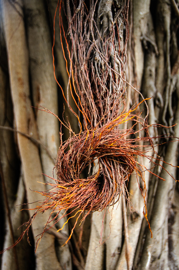 The Knot #09166